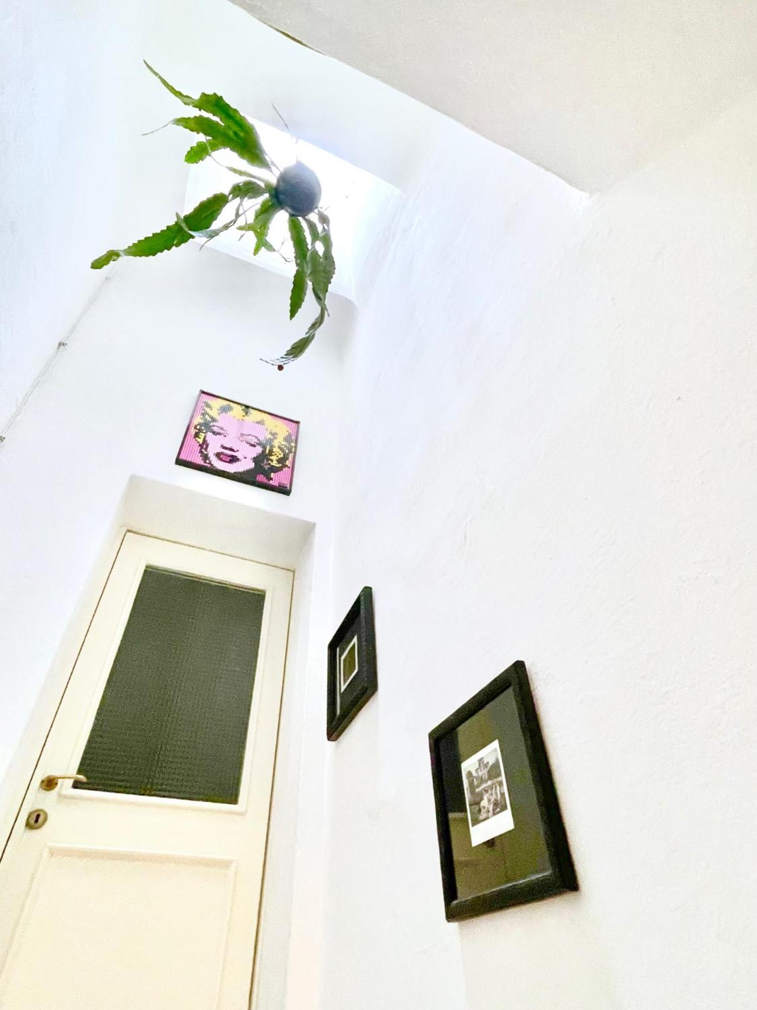 La Casa Del Pesce - Within The Historical Walls Of ลุคคา ภายนอก รูปภาพ